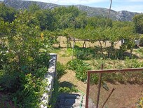 Blick.in den Garten