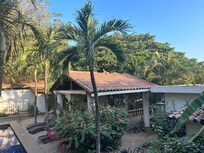 Interior courtyard with rooftop iguana