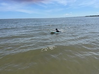 Ocean day just down the street