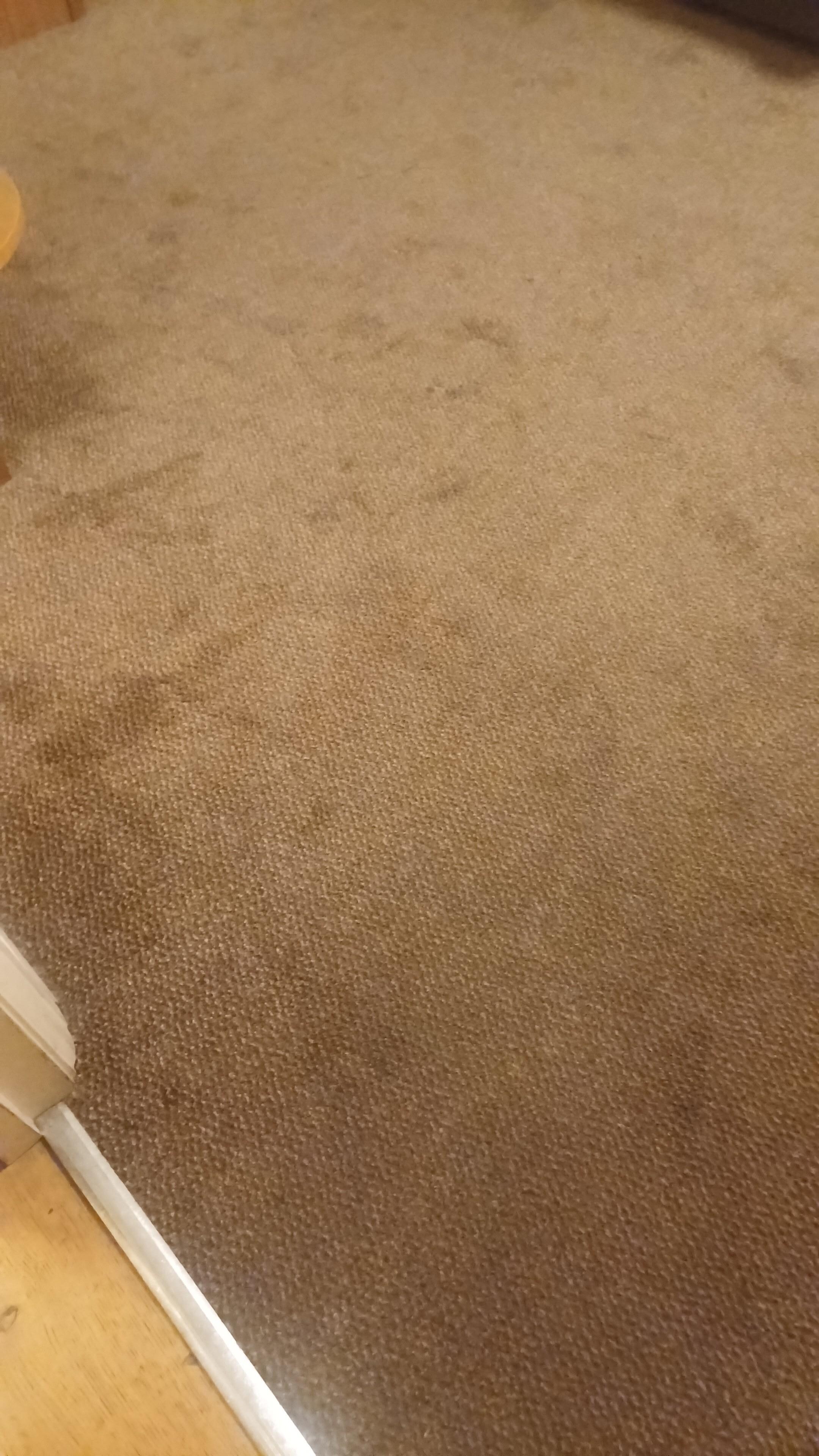 Heavily stained carpet.