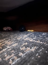 Old French fry under the bed