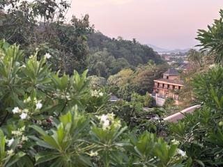 The view from our suite with one bedroom