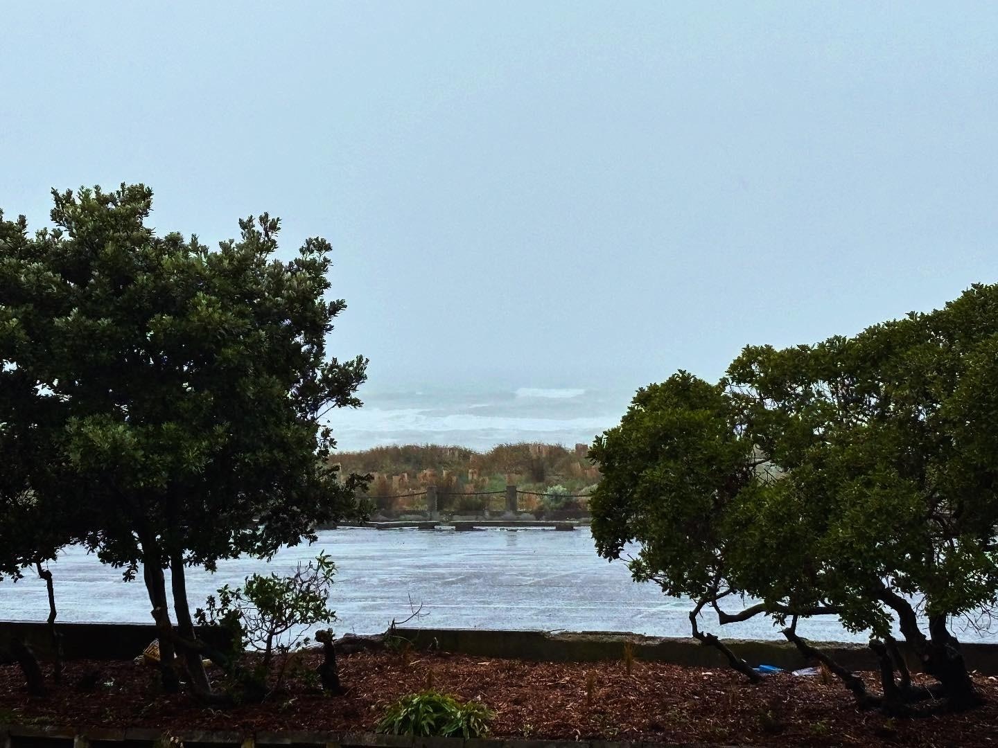 Closer view of the water