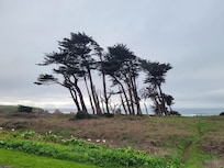 Iconic Beachcomber view and their logo