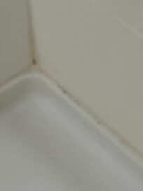 Shower dirty