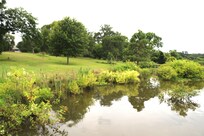 Lake reflections in the tranquil water of Lake Fork.