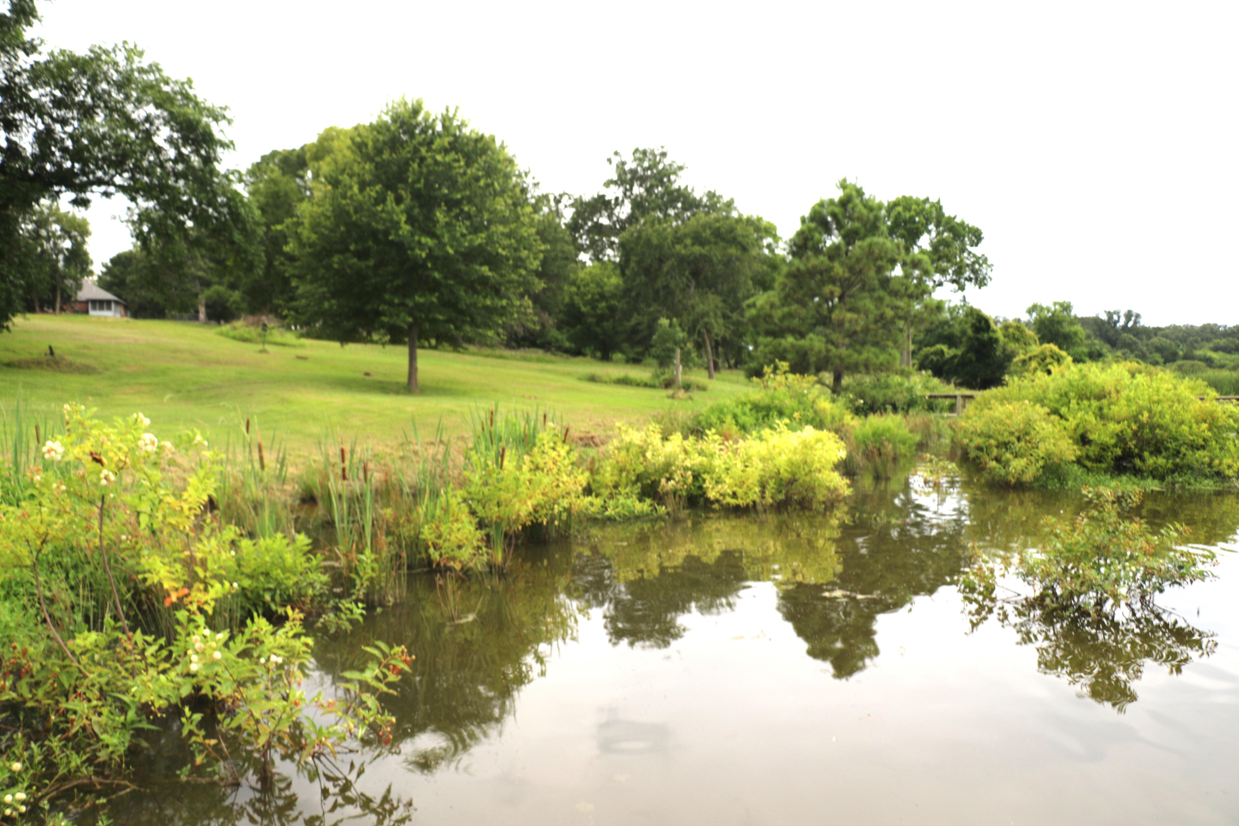 Lake reflections in the tranquil water of Lake Fork.