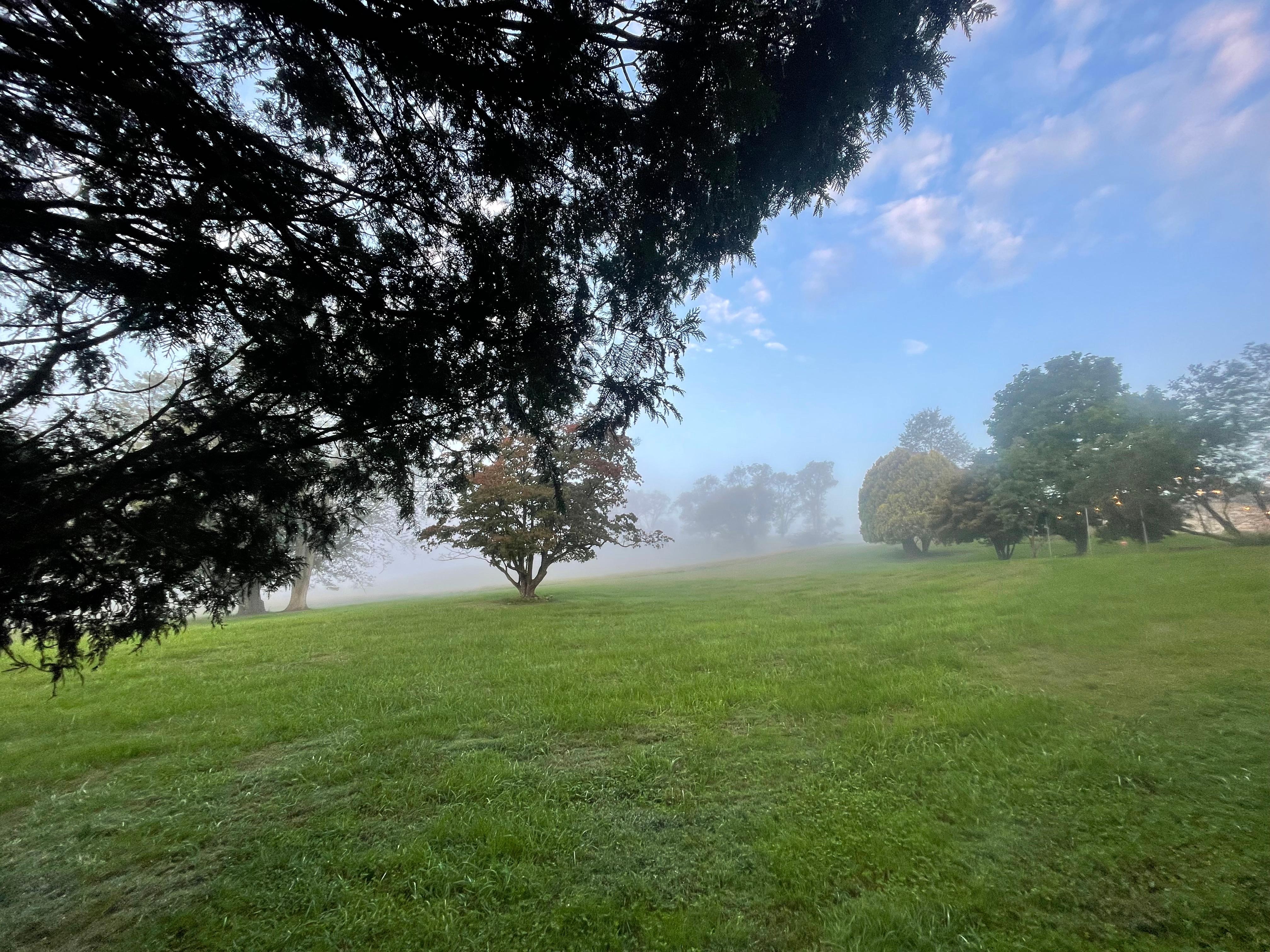 Such a peaceful setting