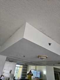 Moisture stains on ceiling