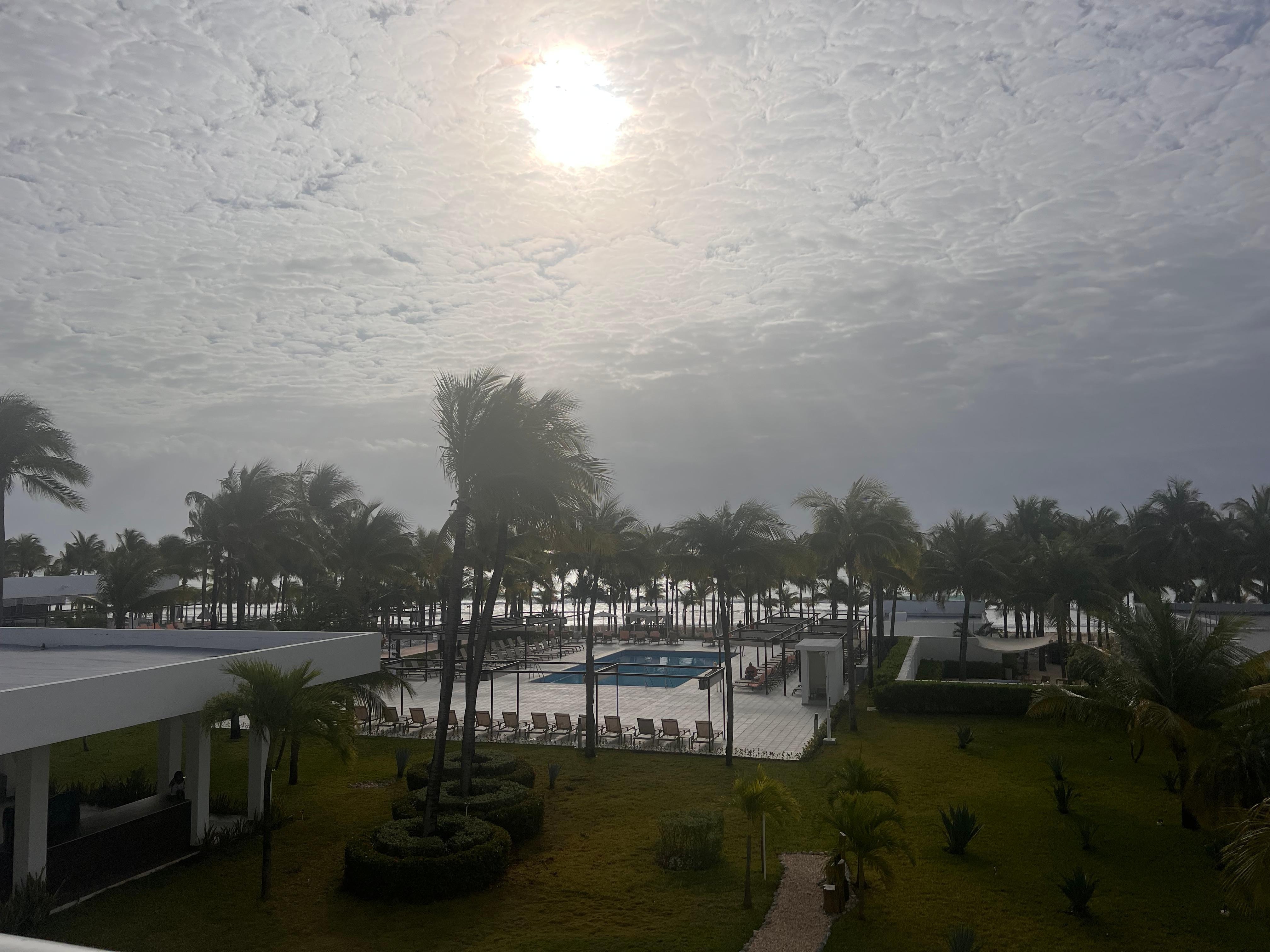 Room with a view (1046)