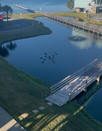 From our balcony, cute ducks entertained us!