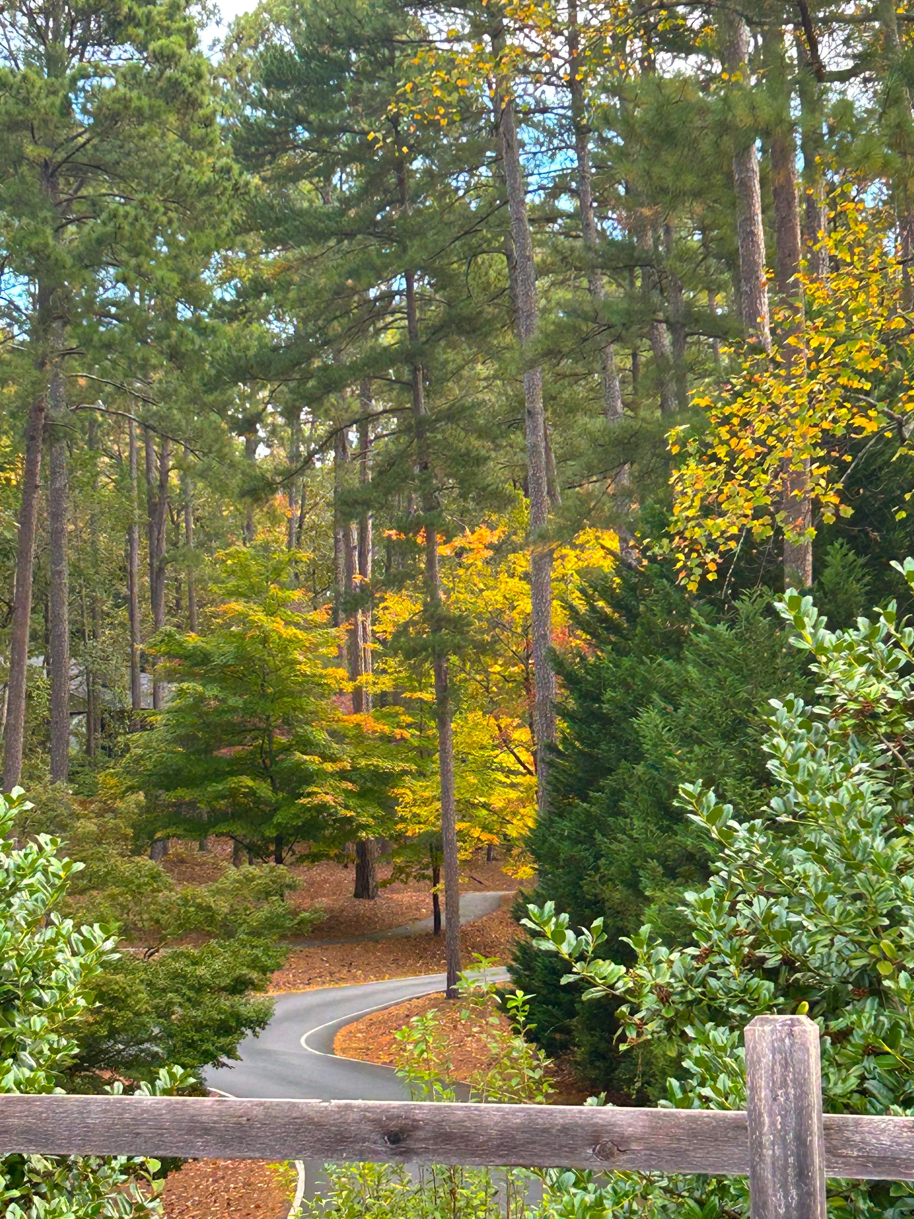 Winding through the neighborhood. 
