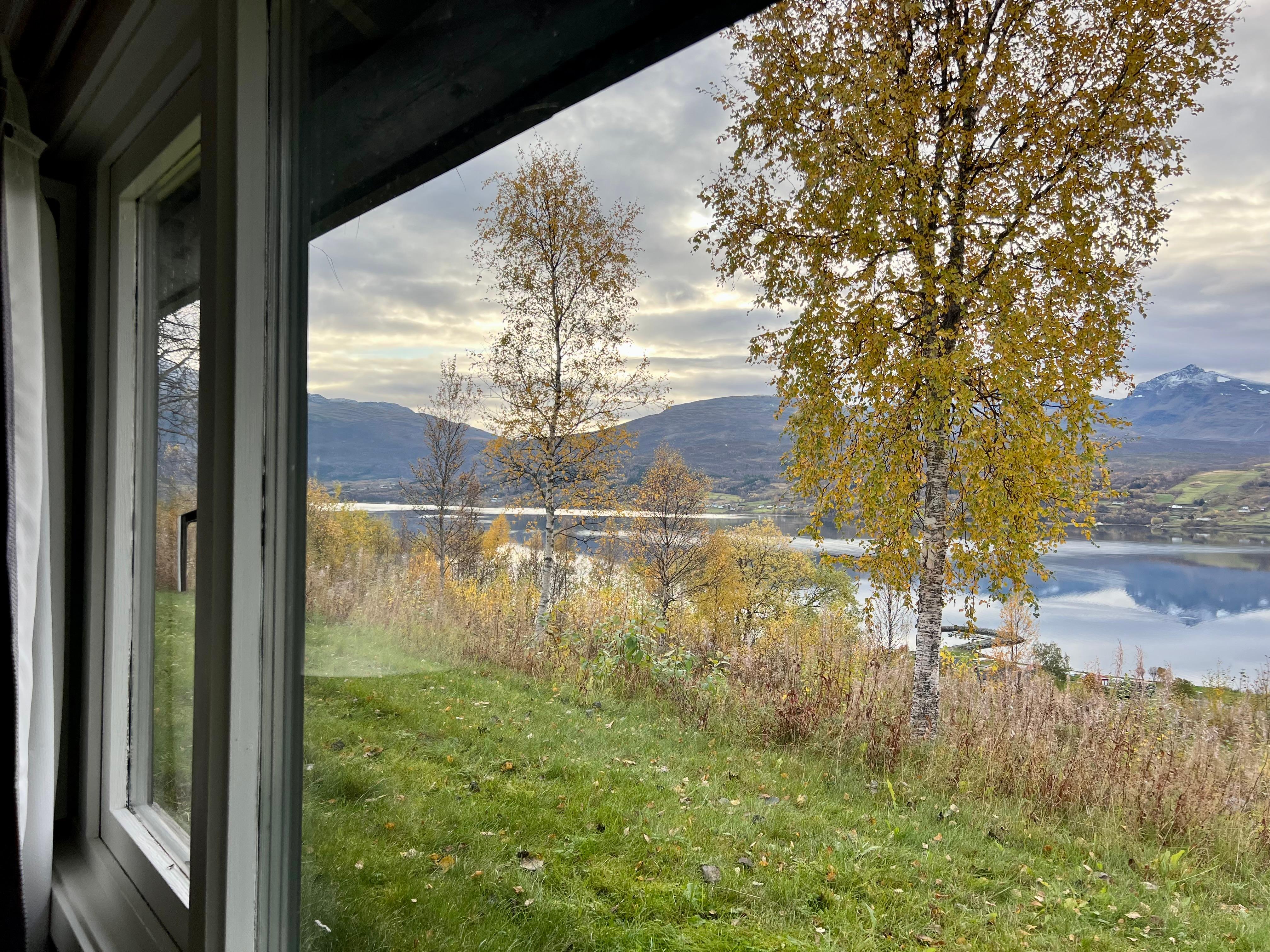 Vue depuis la chambre 