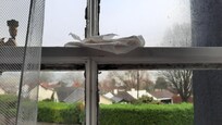 Opened the curtains to find a tissue by the window lock and a large spiderweb. All the window frames are rotten and need replacing. The photos do not show the actual state of the window frames and rattling windows
