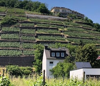 Anblick von Walporzheim aus