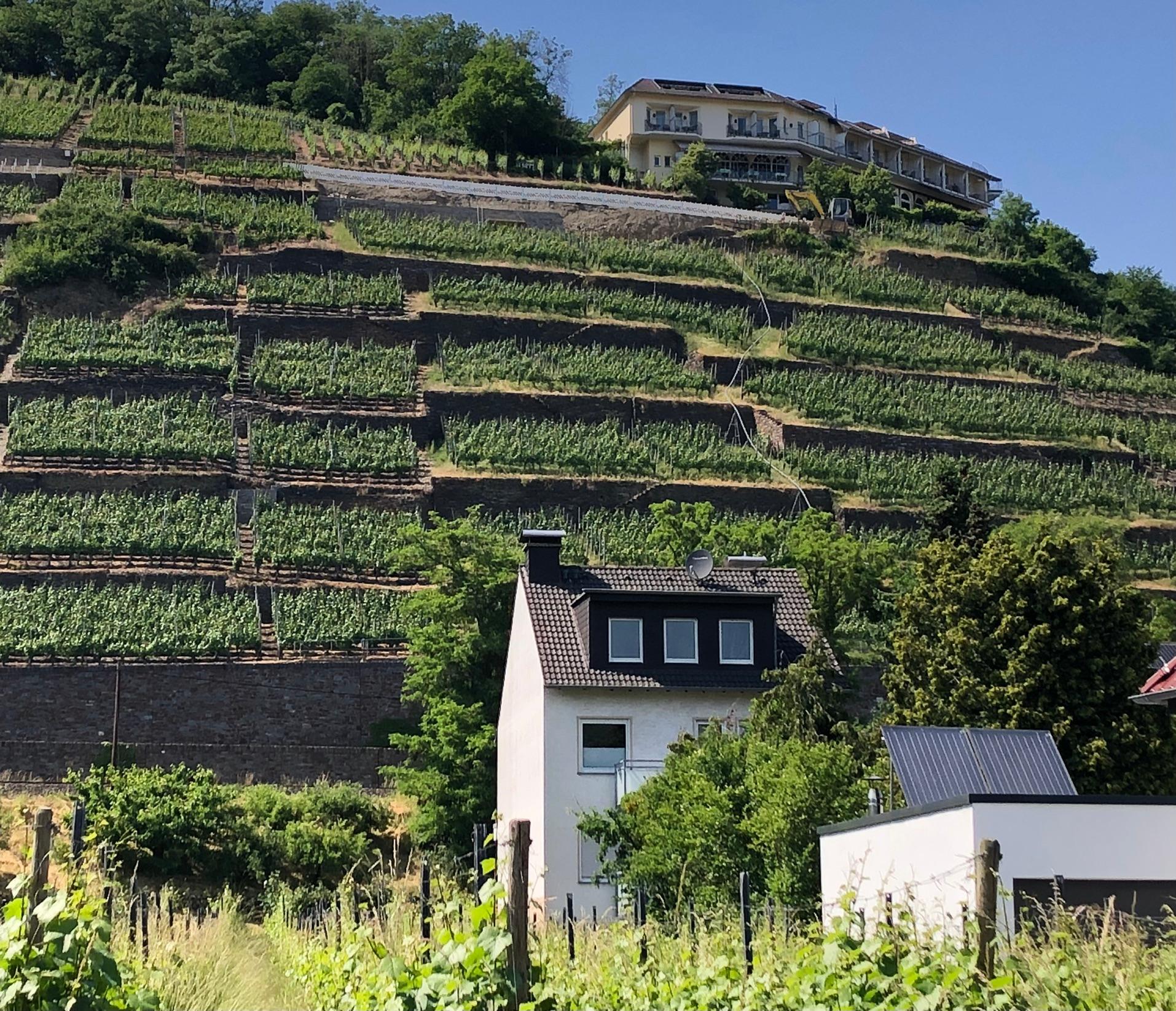 Anblick von Walporzheim aus