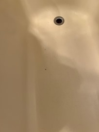 Hair in sink on arrival