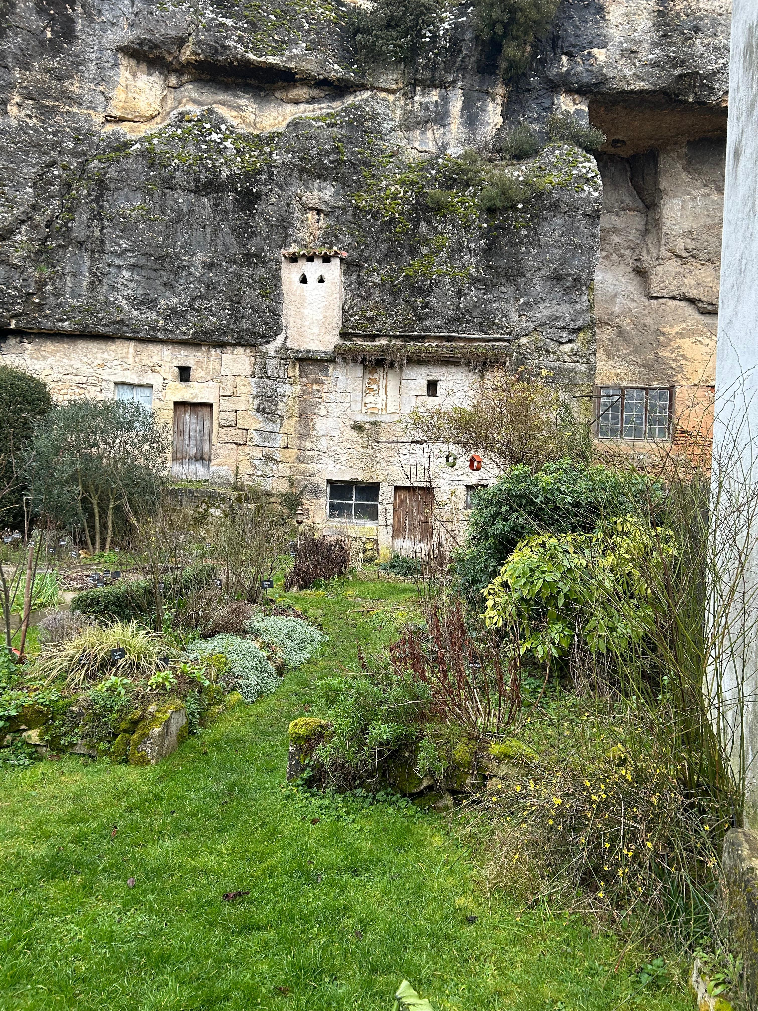 Fabolous garden in the backyard. 