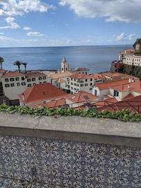 View from the garden