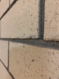 Dusty walls - I’ve never sneezed so much!