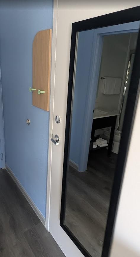 nice mirrors and coat hooks