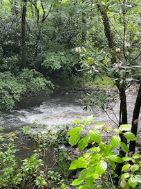 Mountain steam in the state park