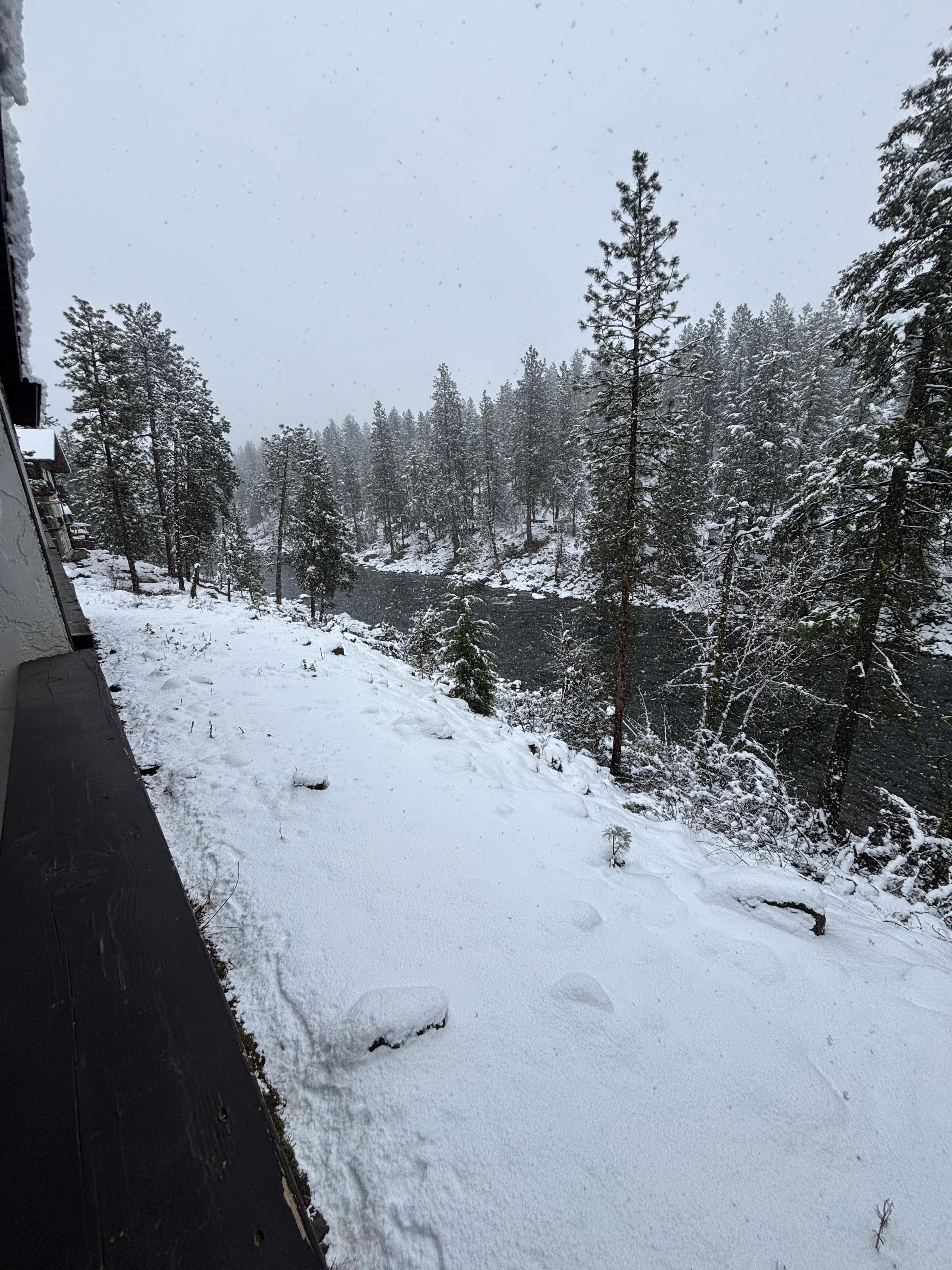 view from back balcony 