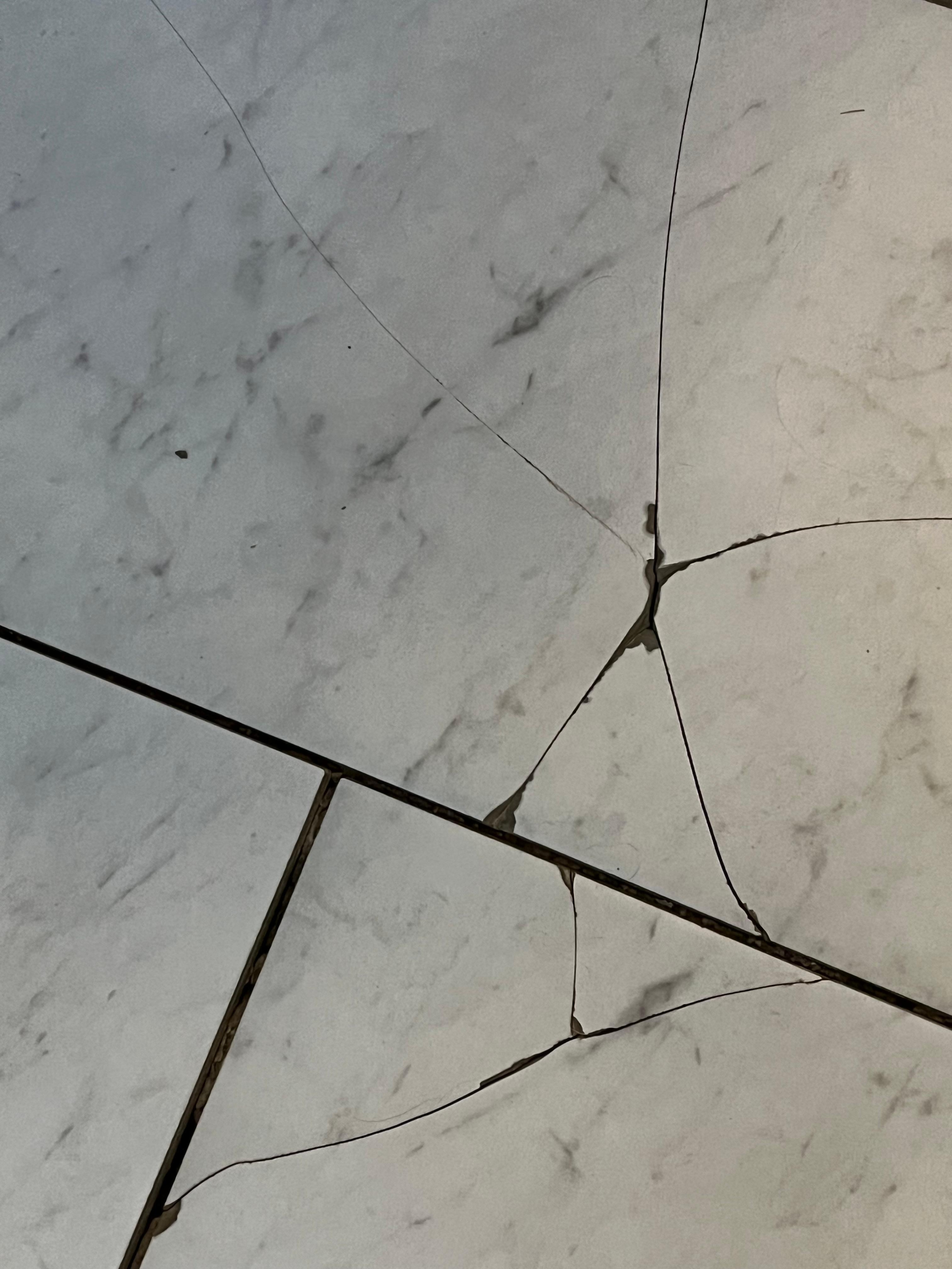 Broken tile in bathroom, actually covered 20sq ft. 