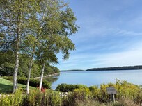 View from the âbackâ yard.