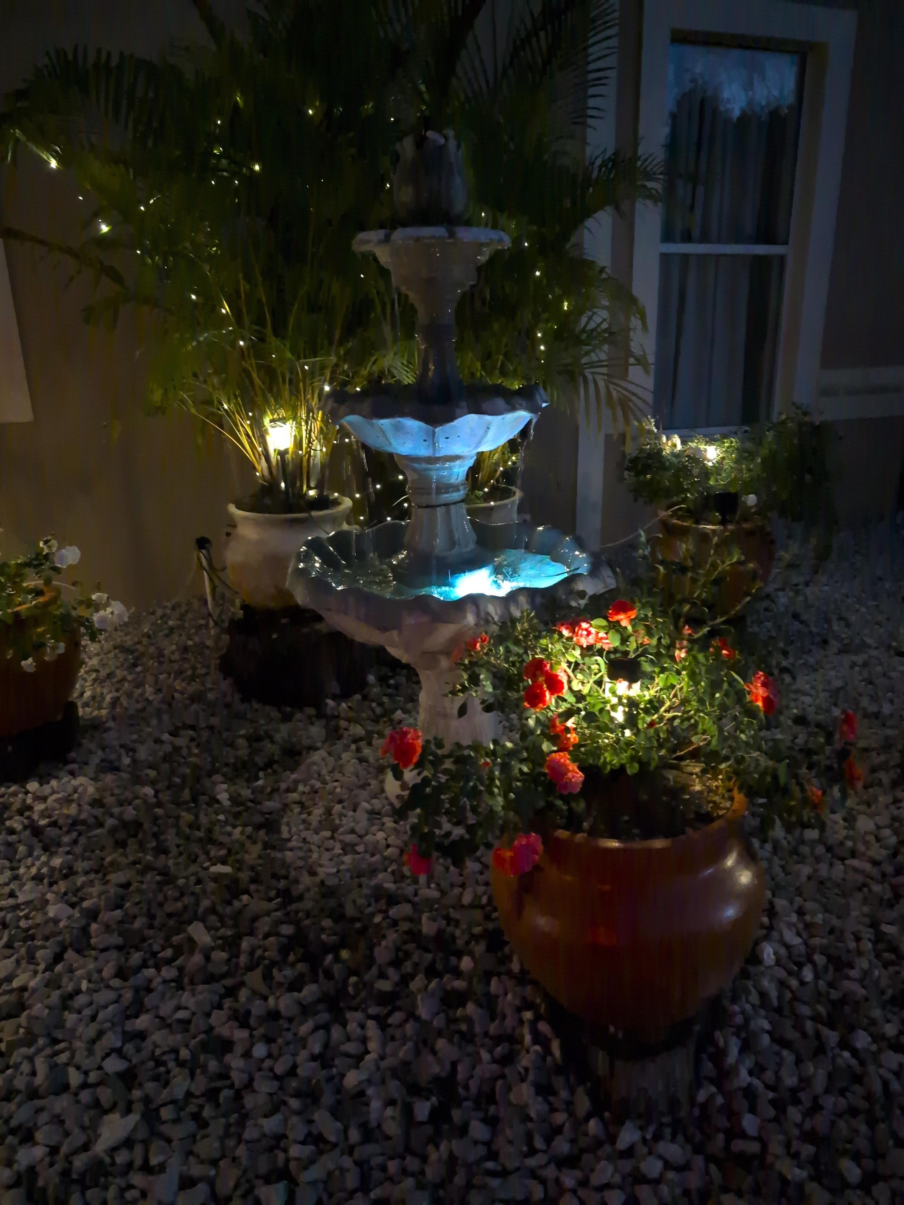 Relaxing fountain and outside sitting area to watch birds and squirrels play!