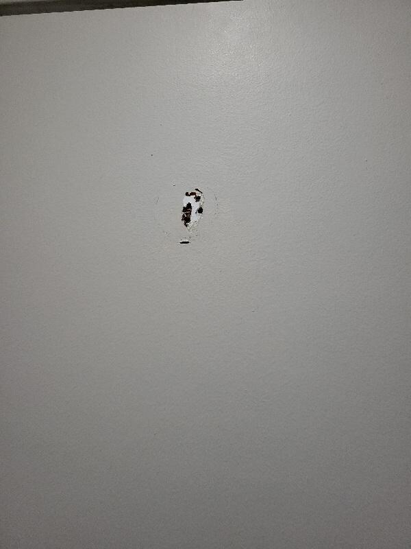 Missing hook on bathroom door