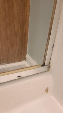 Master shower