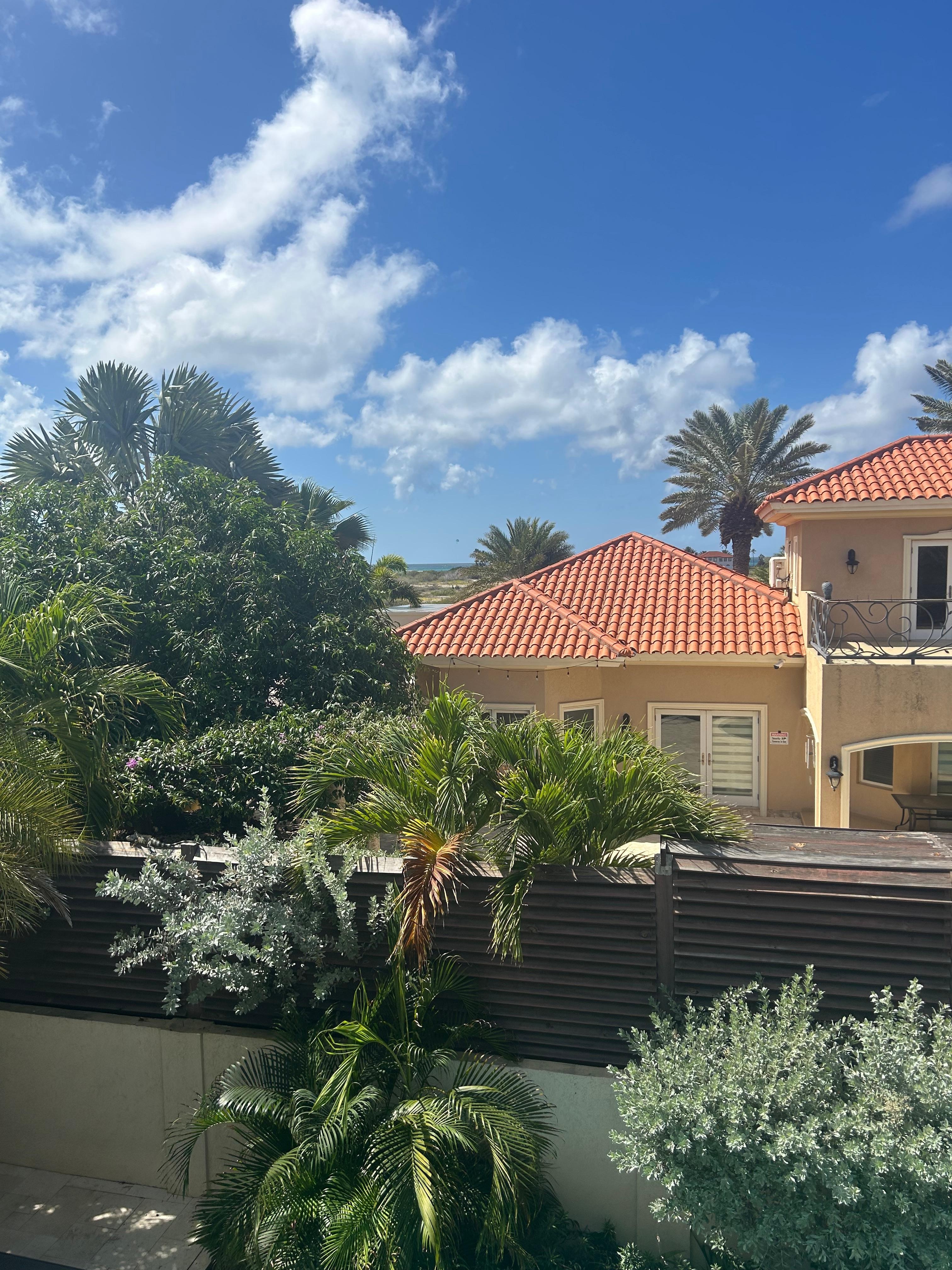 View from back porch 