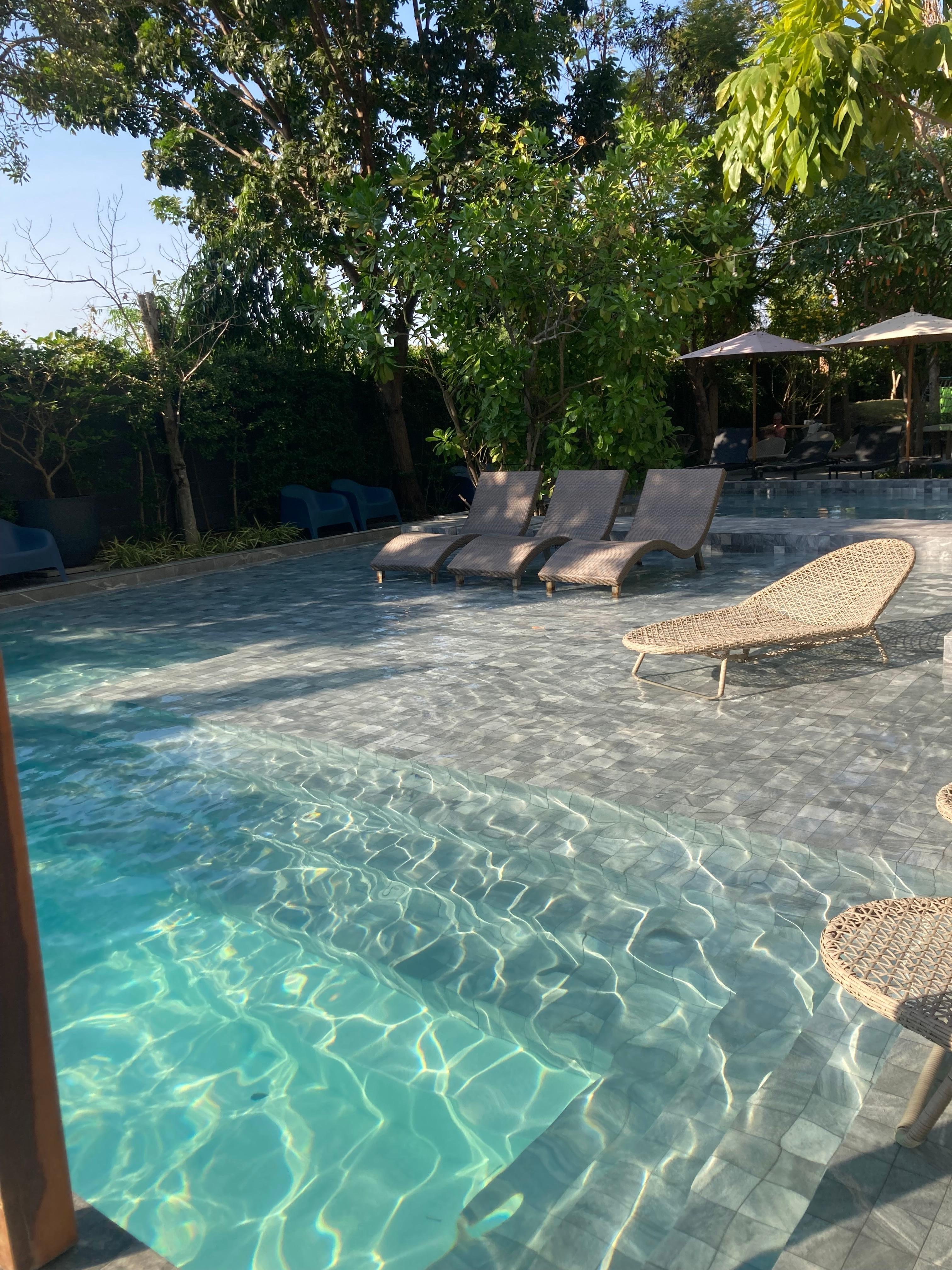 Solstolar m skugga träd 