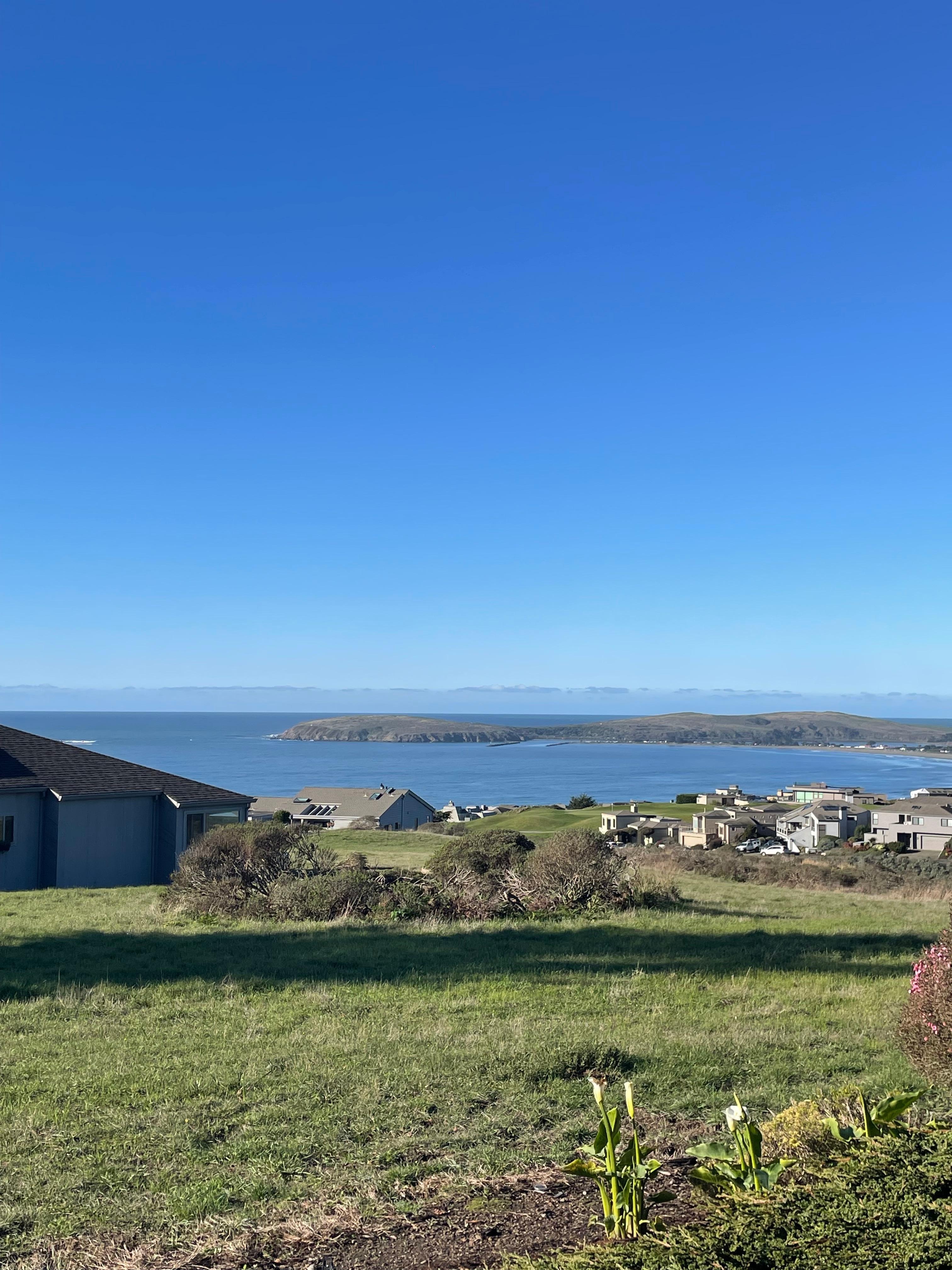 View from dining room