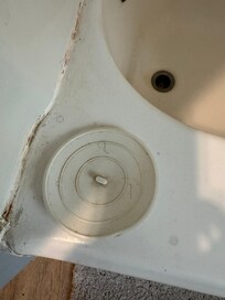 hairs throughout the house and everywhere in the bathrooms.