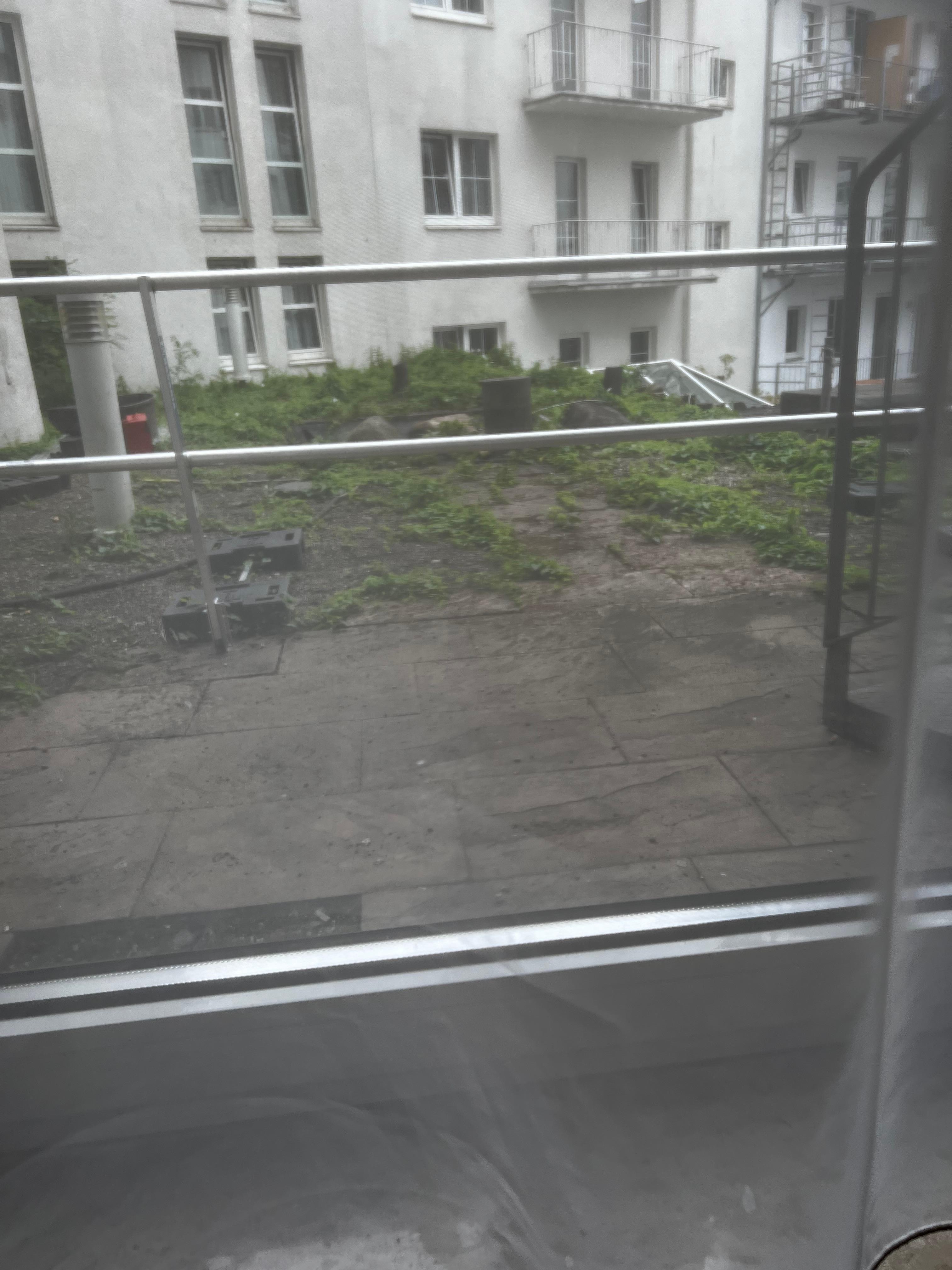 View from the window
