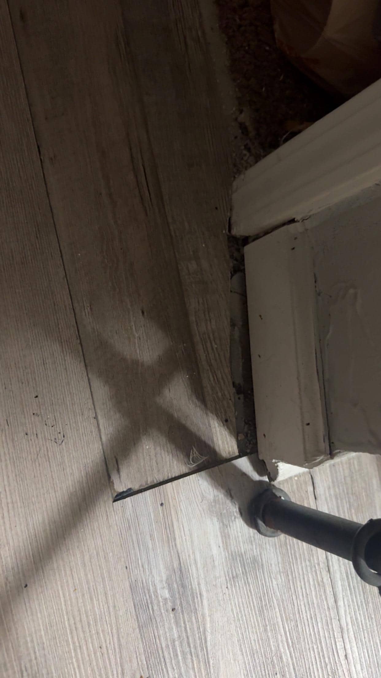 Floor in basement room 