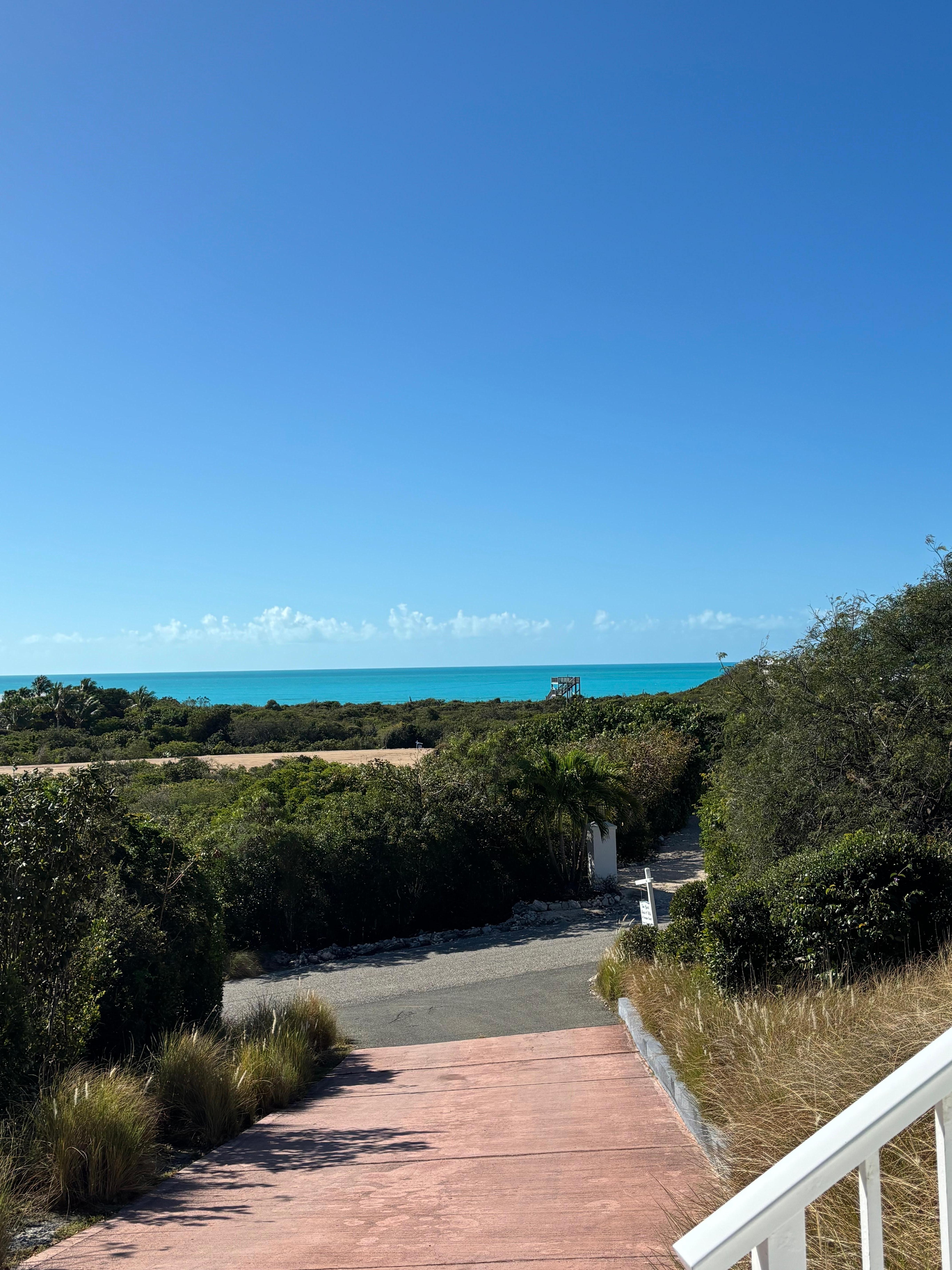 View from the driveway