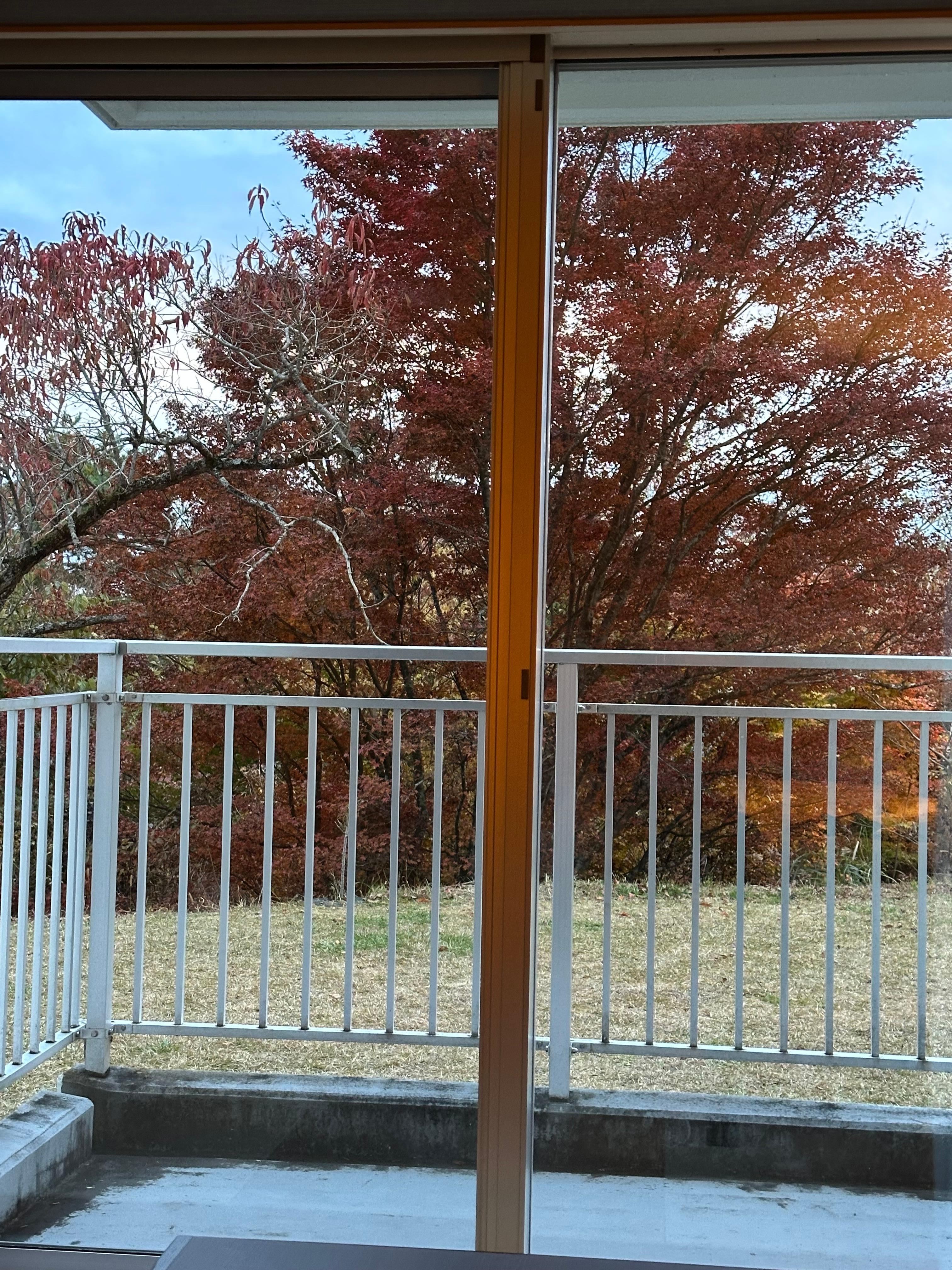 This is my view of Mt Fuji