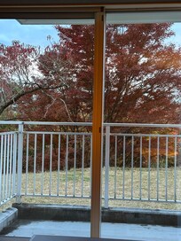 This is my view of Mt Fuji