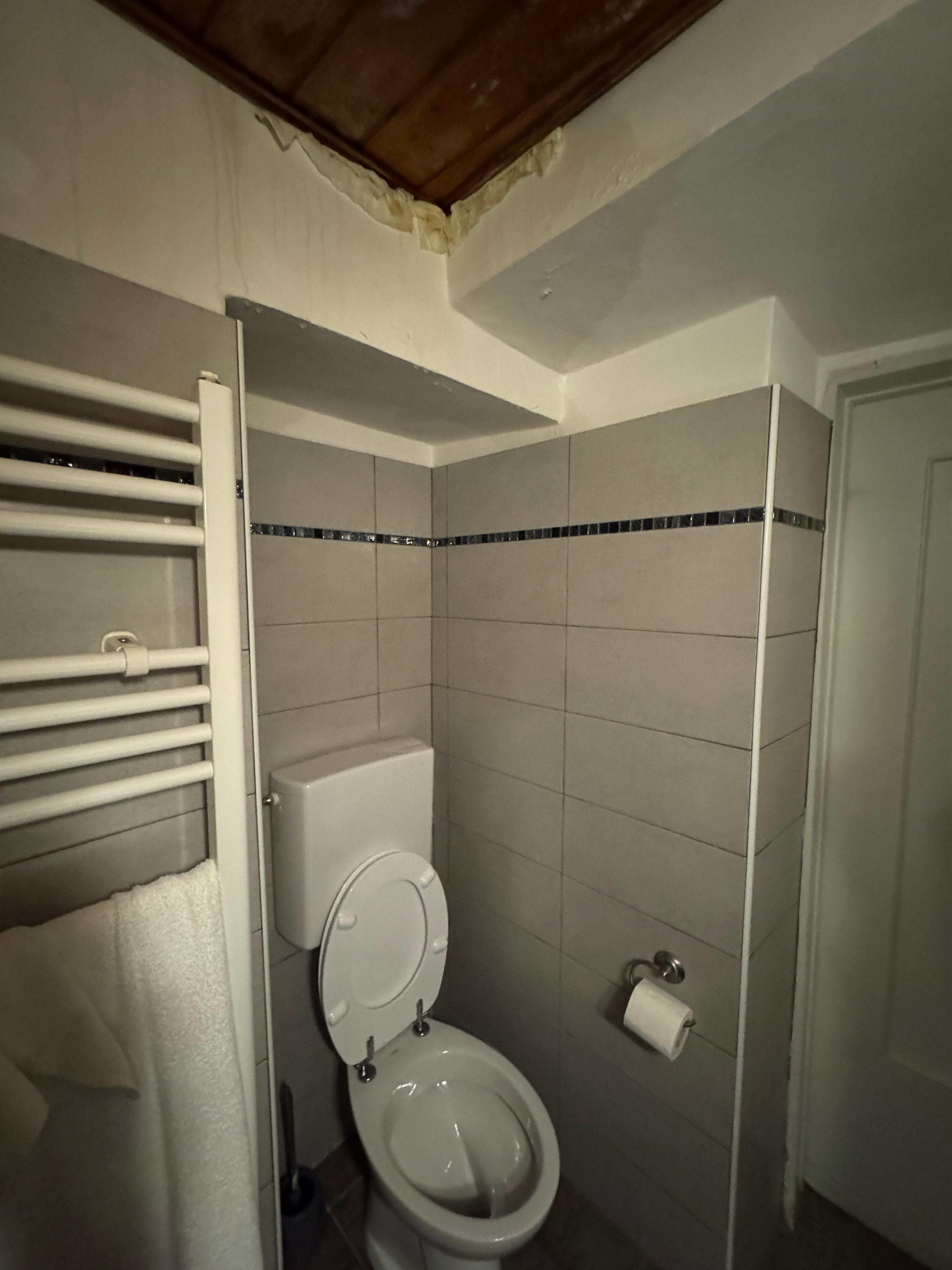 Major leak of the toilet above 