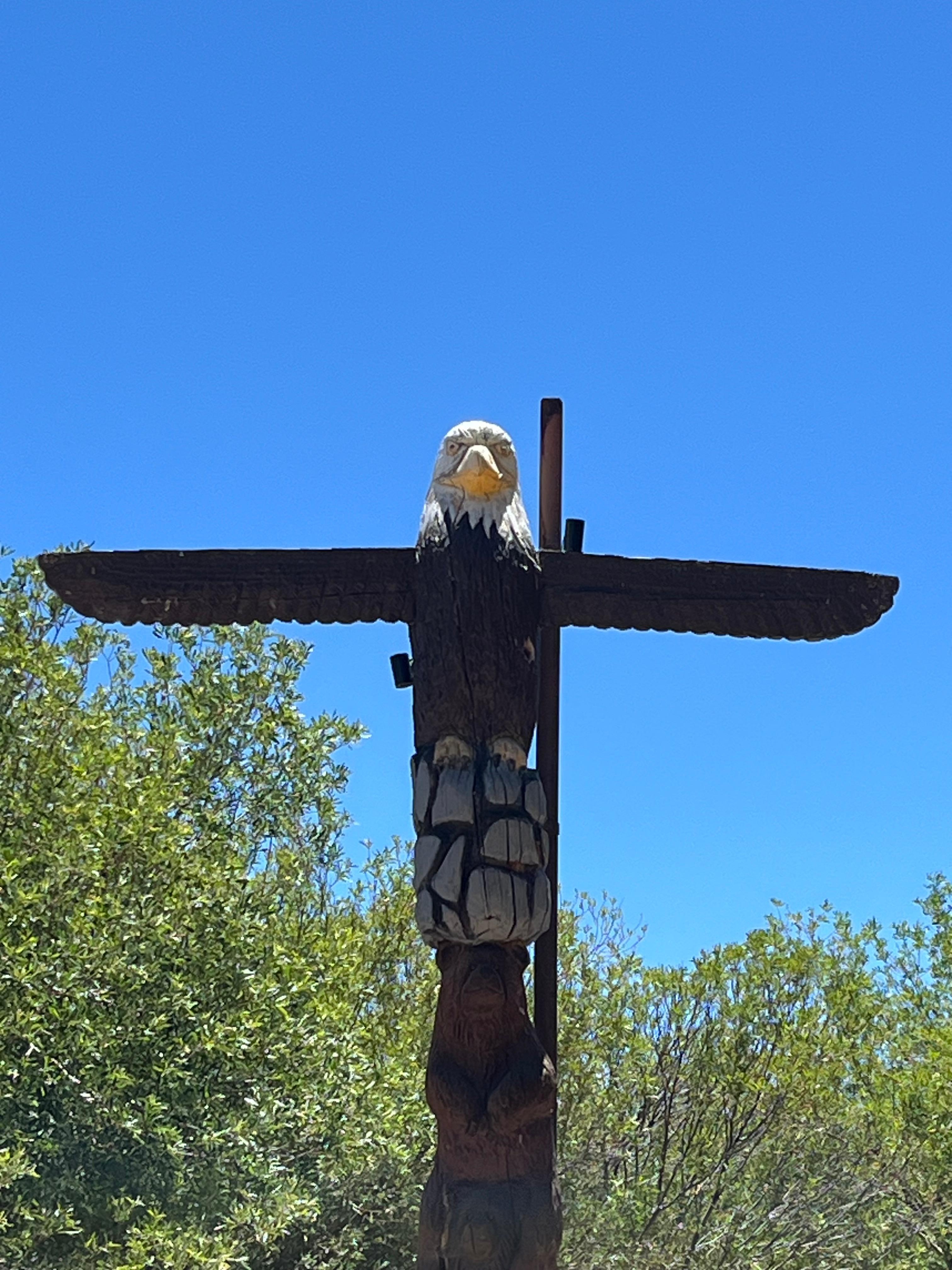 Spot the eagles from here