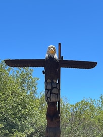 Spot the eagles from here