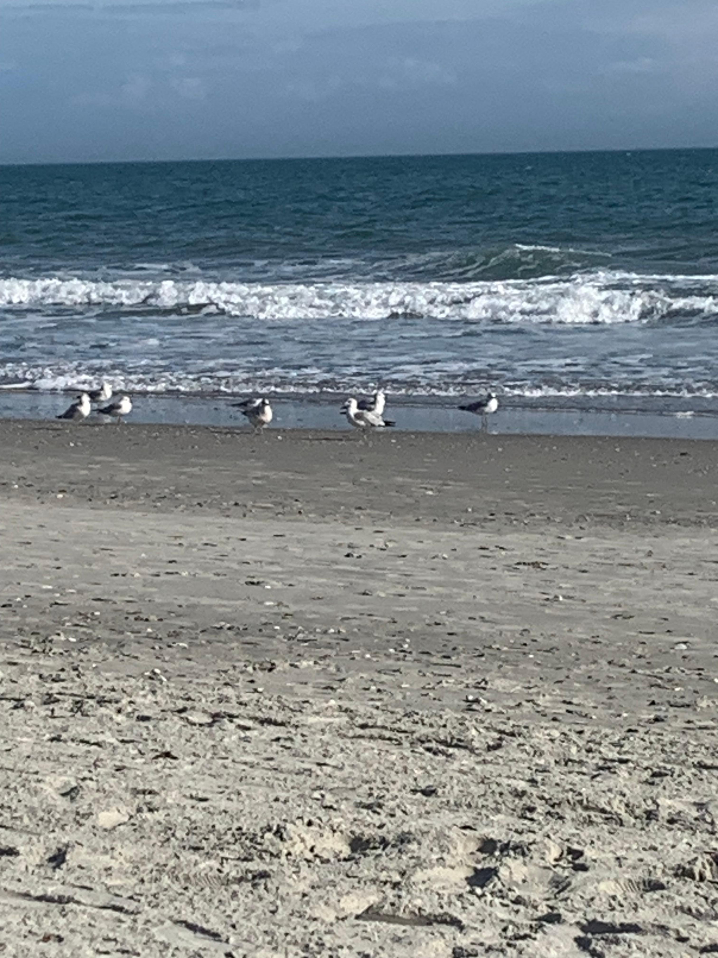 The beach was beautiful 