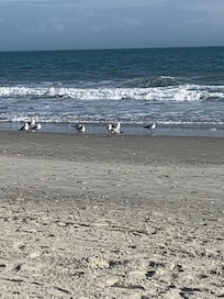 The beach was beautiful