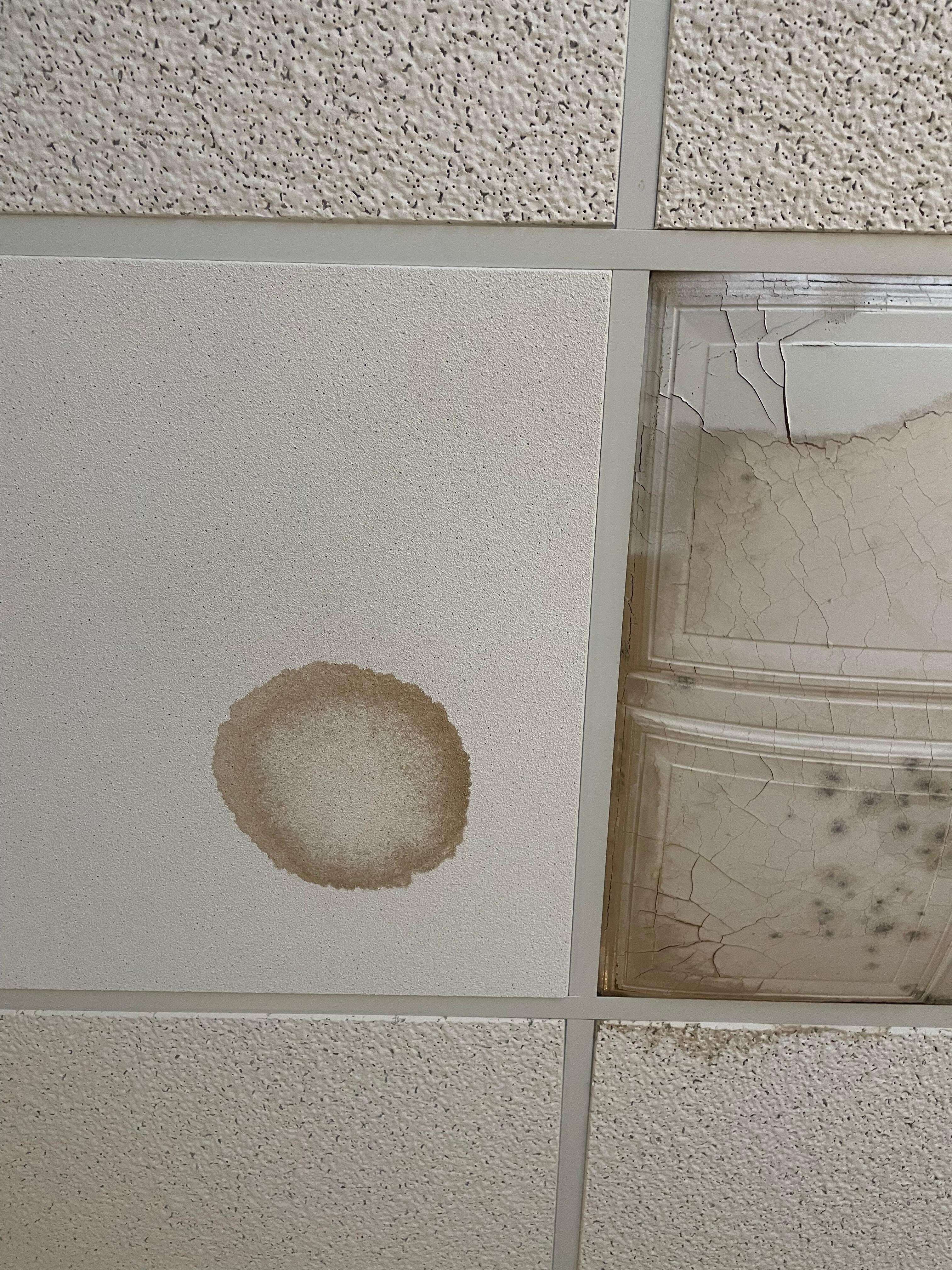 Mold and leaks.