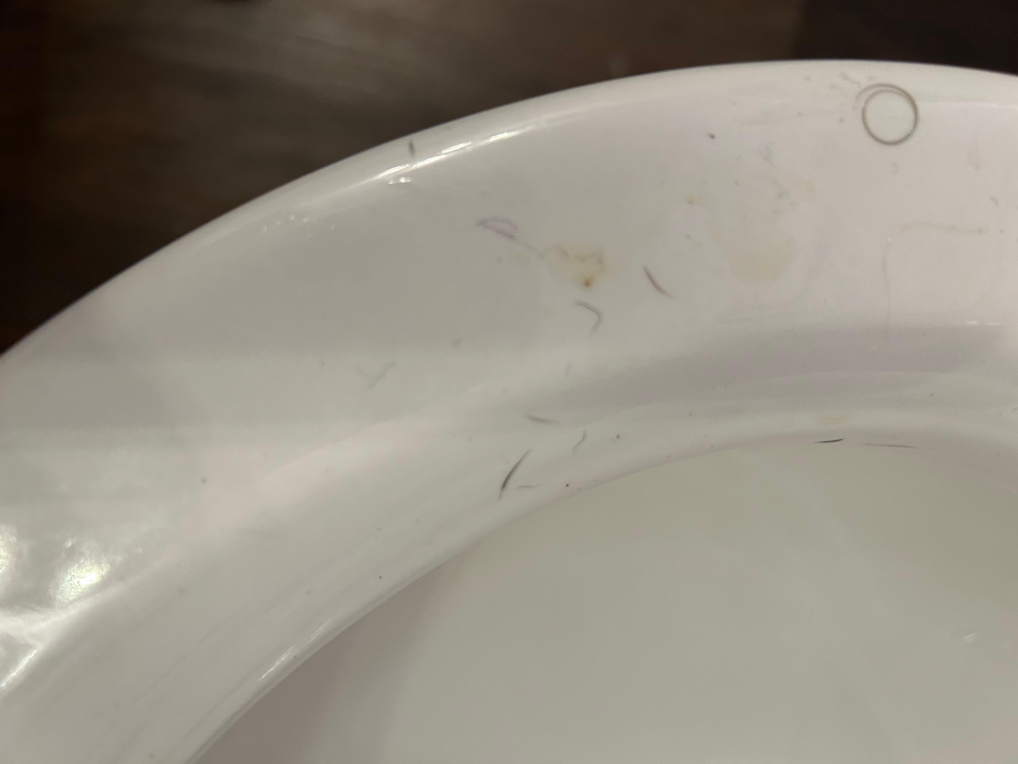 Body hair and urine on toilet seat upon checking in 