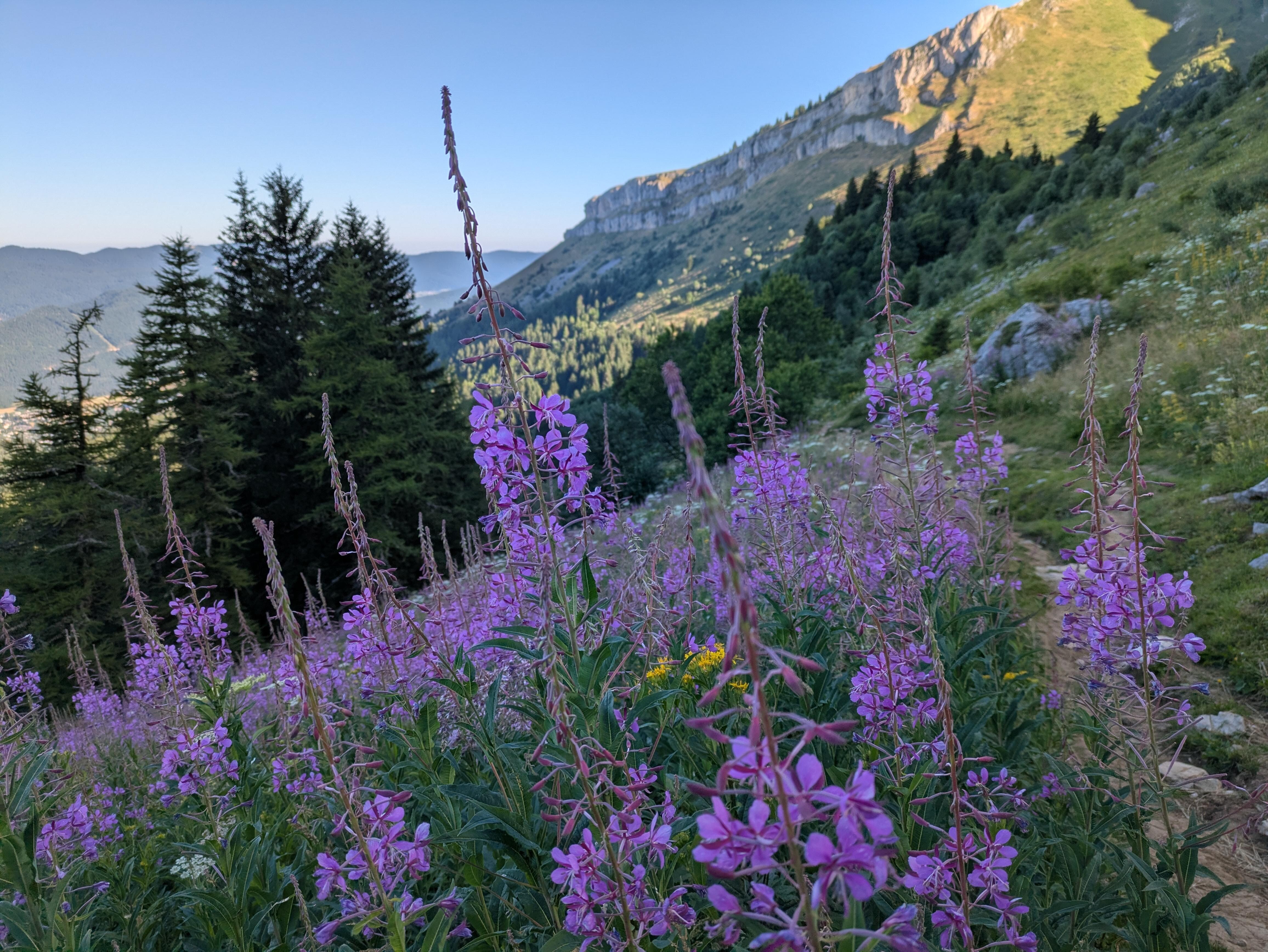 Vers le Col vert - Tôt le matin
