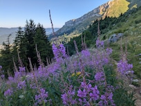 Vers le Col vert - Tôt le matin